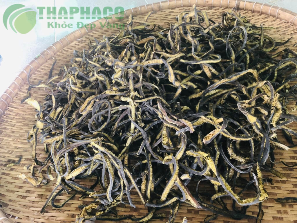 Mua sỉ tảo xoắn Chile tại TP.HCM ở THAPHACO