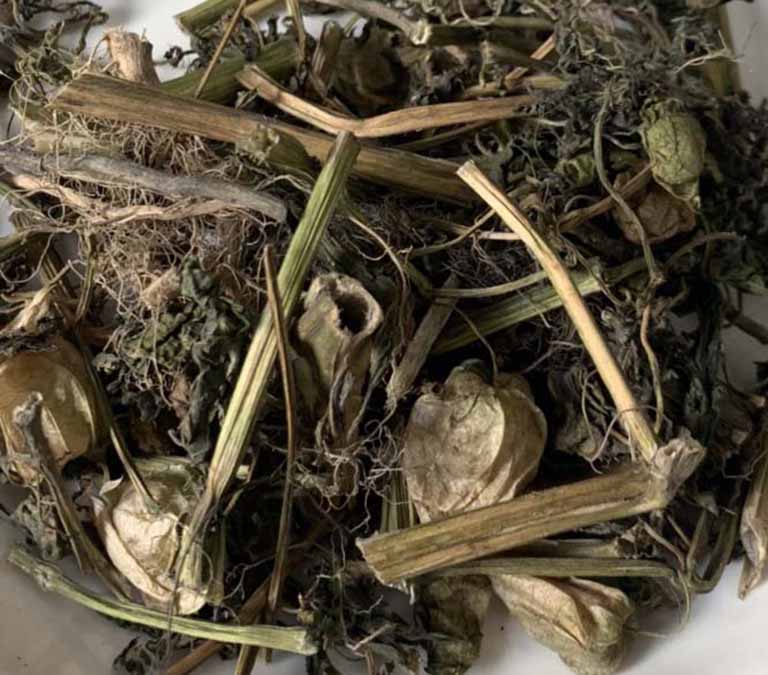 Dược liệu khô tốt cho sức khỏe