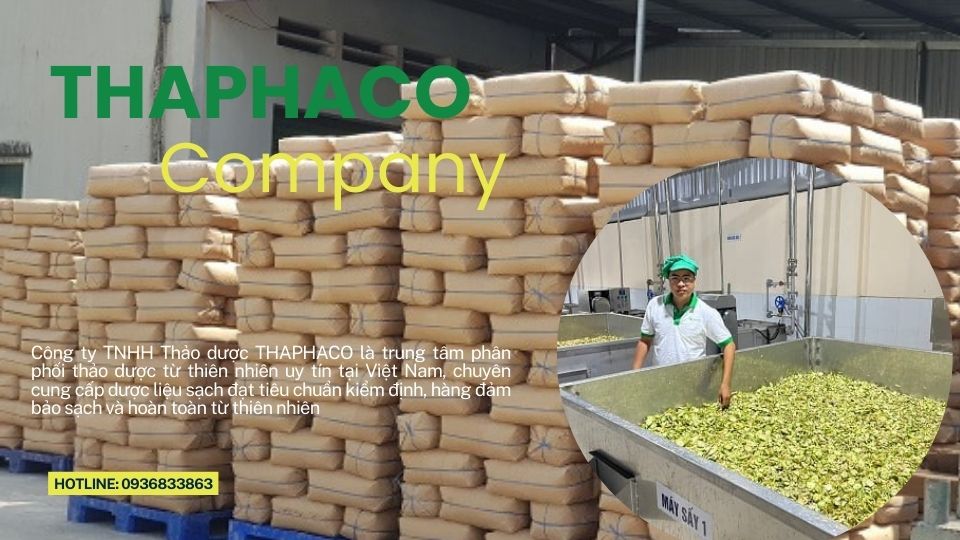 Cung cấp sỉ thảo dược tại TP.HCM