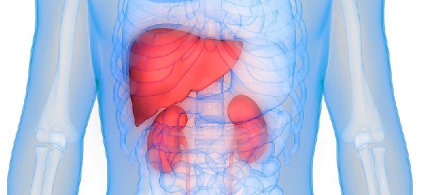 Liều lượng phù hợp cho người gan, thận