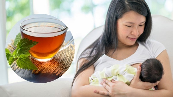 Phụ nữ sau sinh nên dùng cỏ máu