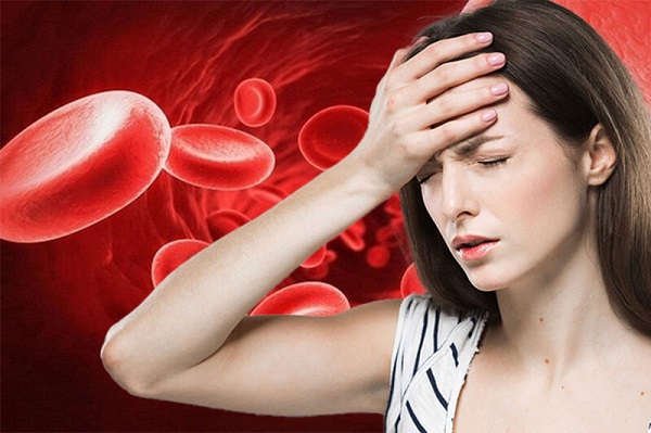 Ai nên uống cỏ máu?