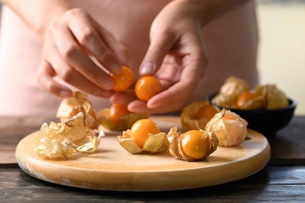 Sử dụng cây tầm bóp điều hòa lượng đường huyết