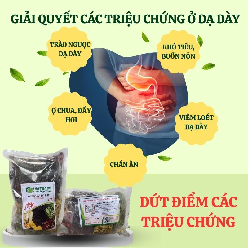 Giải quyết các triệu chứng ở dạ dày nhờ combo trà tiêu thực