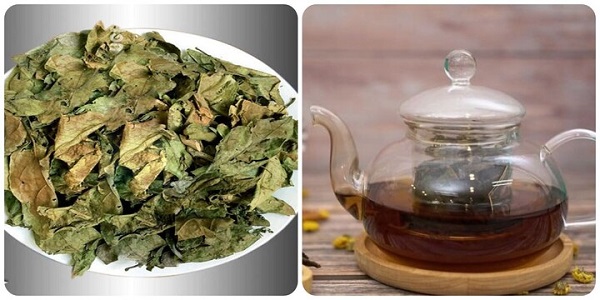 Công dụng của xạ đen đối với sức khỏe
