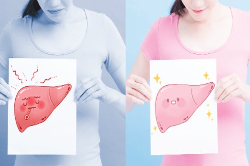 Bảo vệ gan mật nhờ lá xạ đen