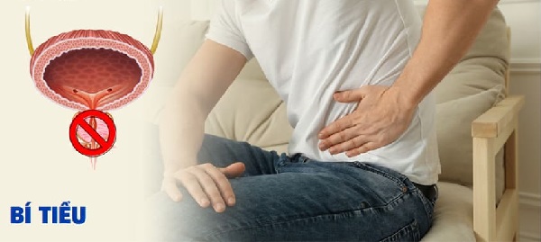 Rễ hồng quân chữa bí tiểu