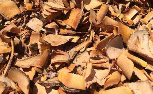 Dưỡng chất có trong rễ hồng quân