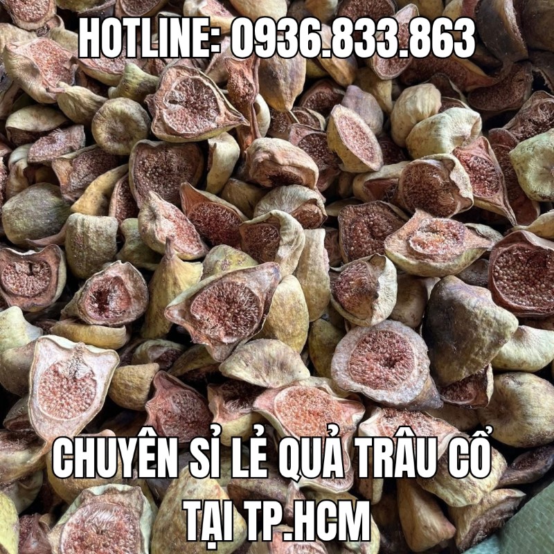 Liên hệ mua sỉ quả trâu cổ tại TP.HCM