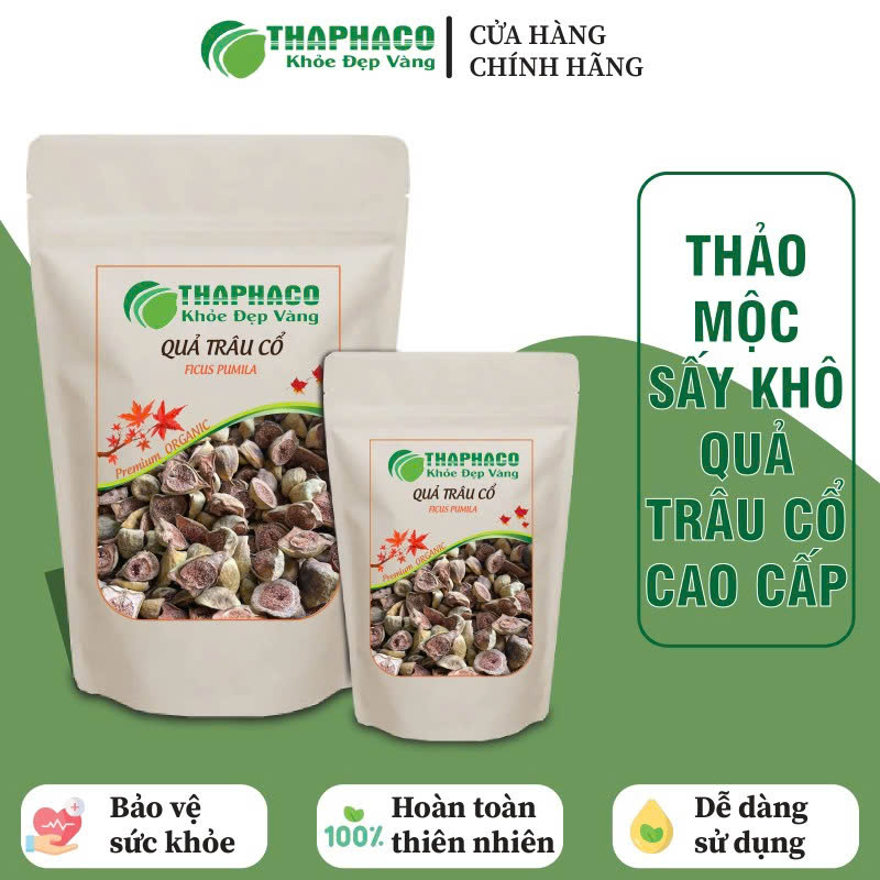 Quả trâu cổ ngâm rượu tốt cho sức khỏe