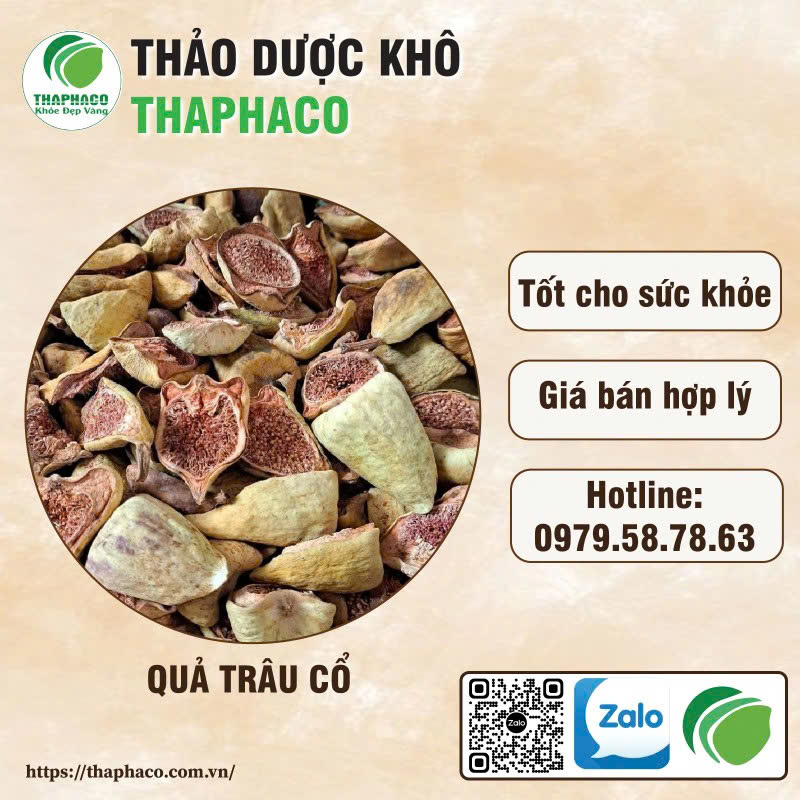 Quả trâu cổ giá rẻ tại THAPHACO