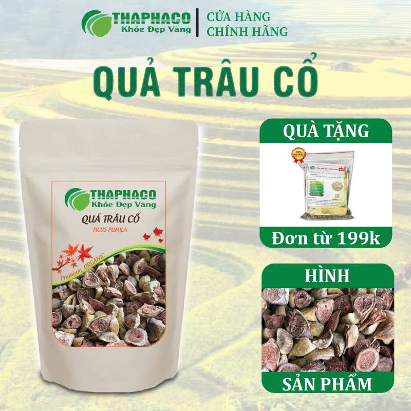 qua trau co (12)