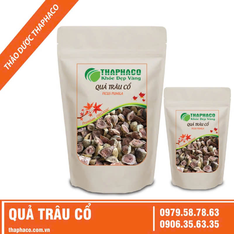Dùng quả trâu cổ có độc không?