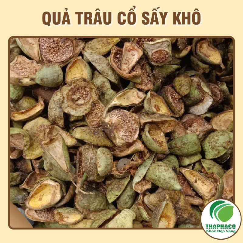 Quả trâu cổ chất sấy khô