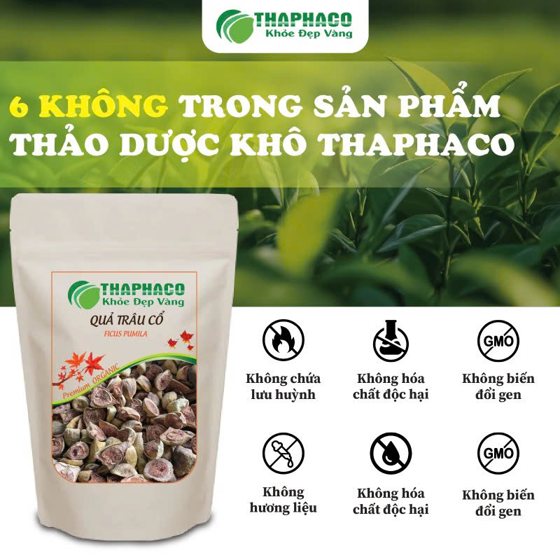 Quả trâu cổ tươi