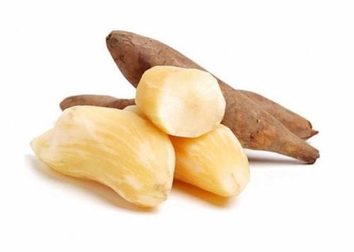 Sâm đất chất lượng