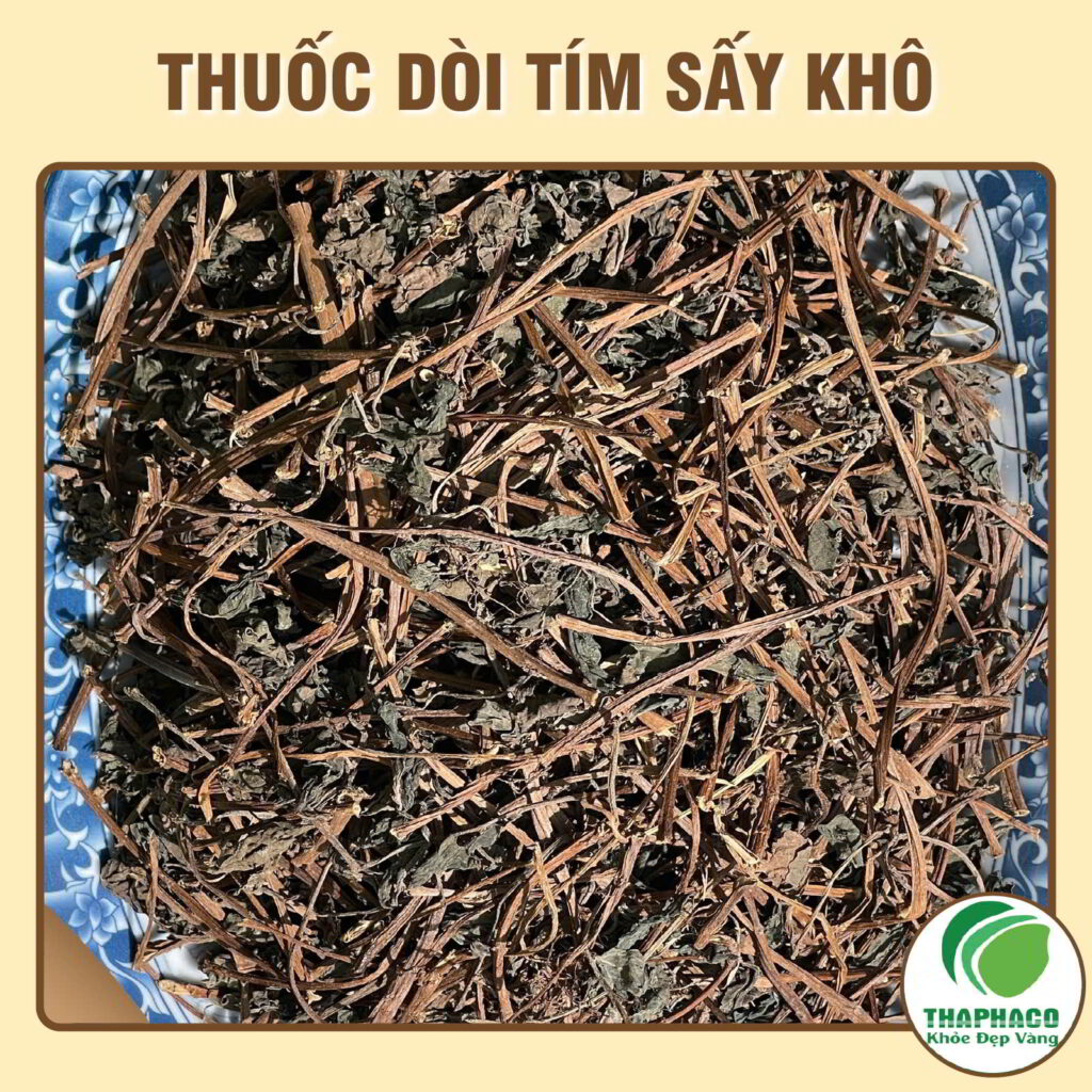 Thuốc dòi tím tại TP.HCM