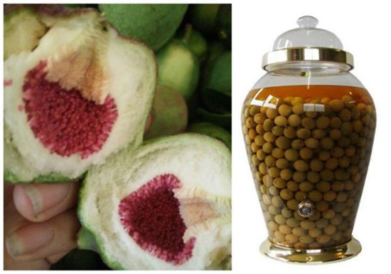 Ngâm rượu trâu cổ bồi bổ nam giới