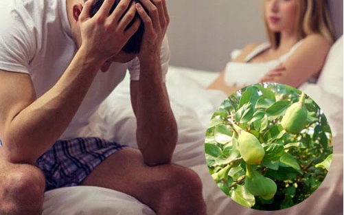 Sử dụng rượu trâu cổ như thế nào?