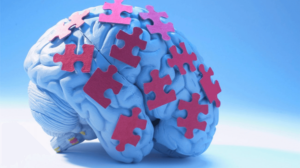 Dinh dưỡng và thảo dược giúp hỗ trợ chức năng não bộ