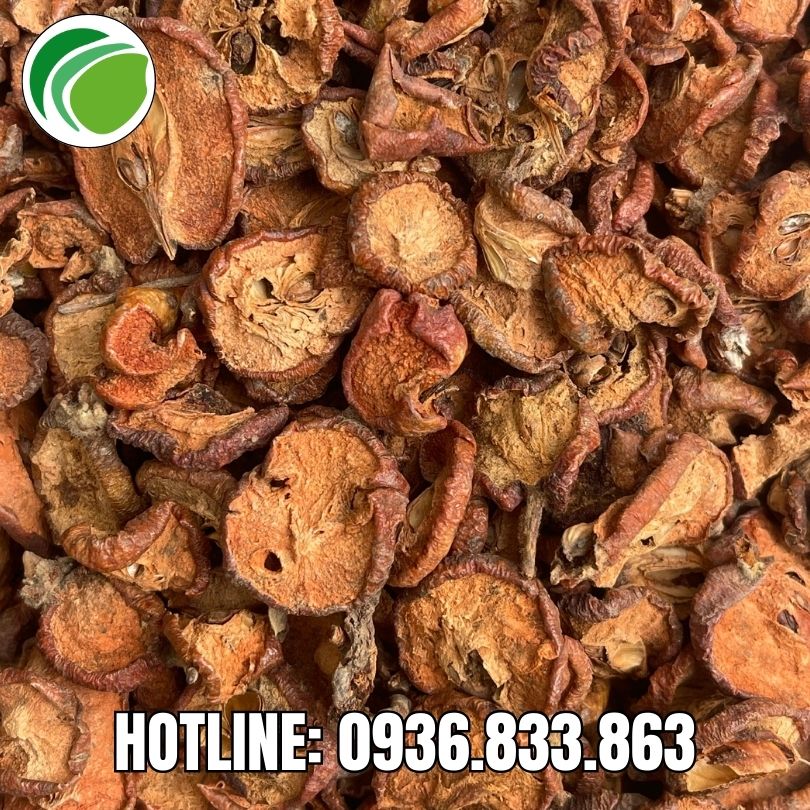 Thảo dược THAPHACO cung cấp sỉ táo mèo sấy khô