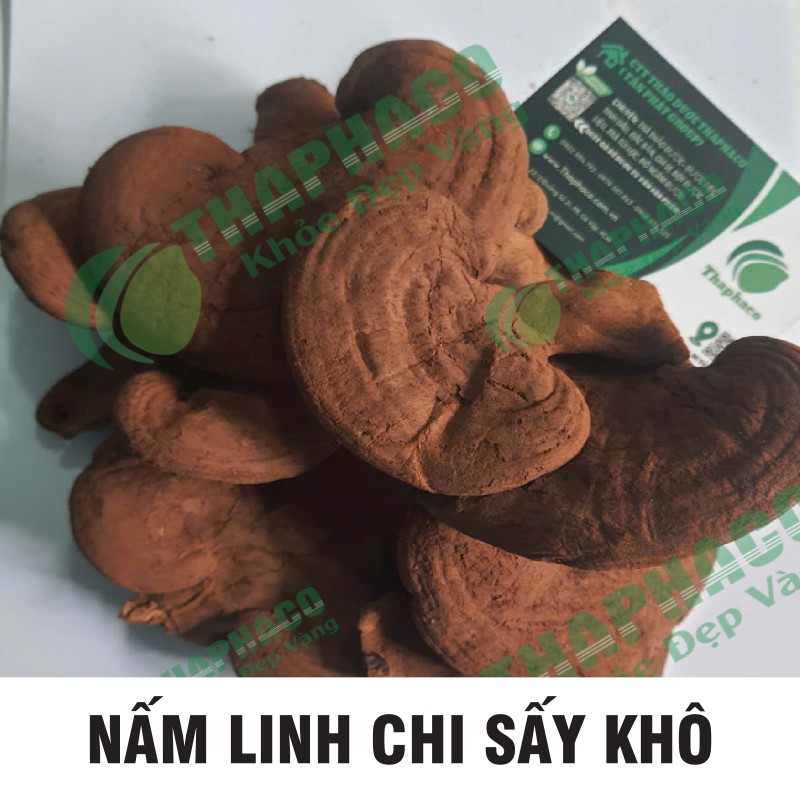 THAPHACO địa chỉ bán nấm linh chi Việt Nam giá rẻ tại TP.HCM