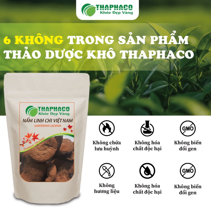 Nấm linh chi Việt Nam - Thảo Dược THAPHACO