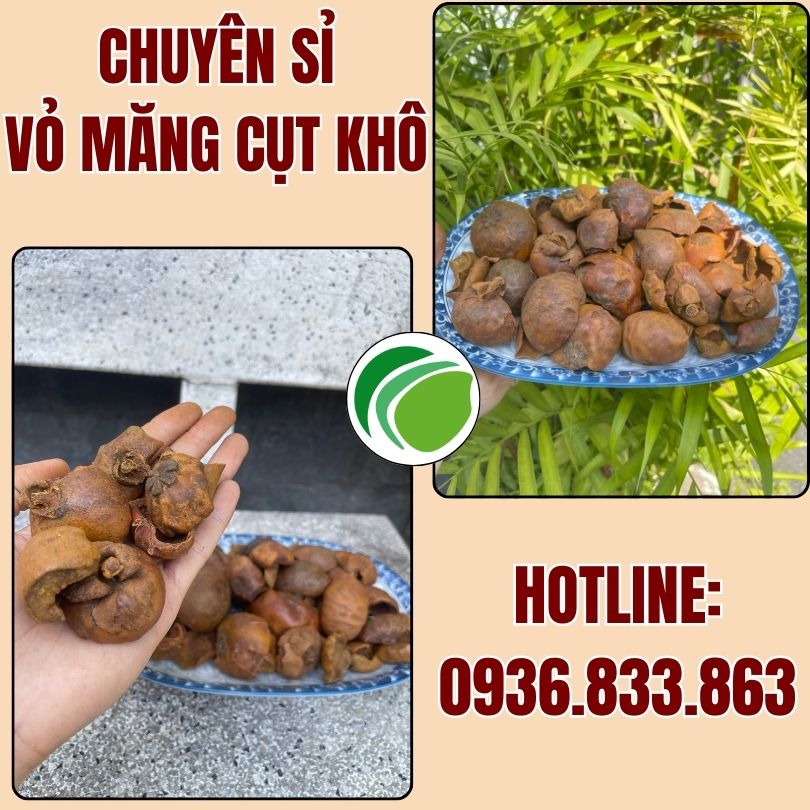 Chuyên cung cấp sỉ vỏ măng cụt khô