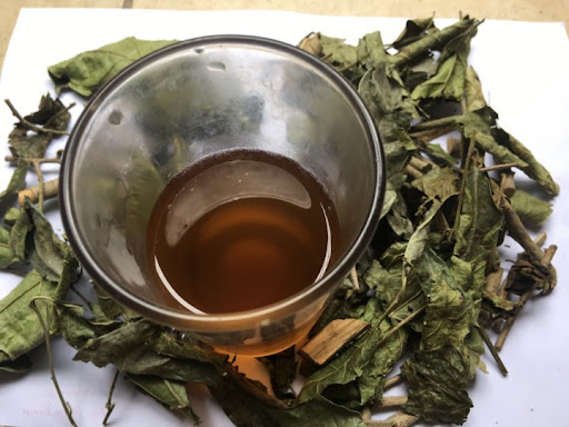 Tác dụng lá và cây xạ đen khô