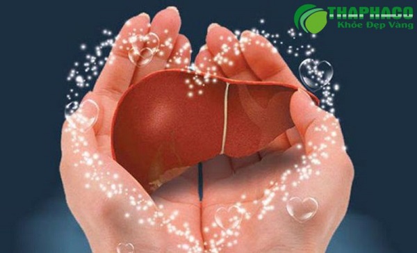 "Dưỡng gan 1 ngày bằng dưỡng thận 1 năm"