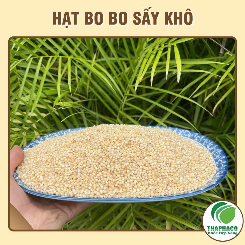 Hạt bo bo chất lượng