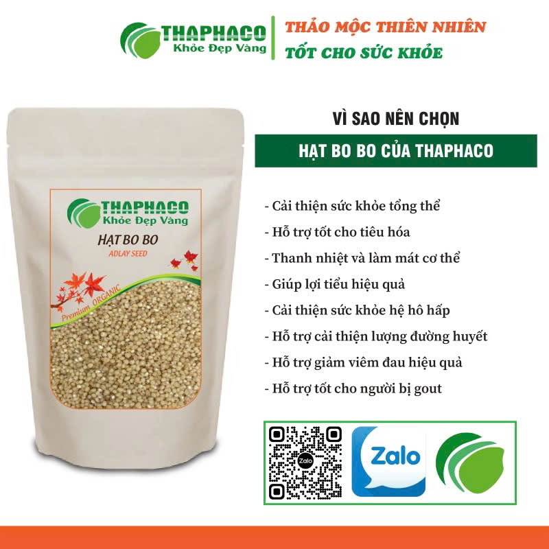 Hạt bo bo khô tại HCM