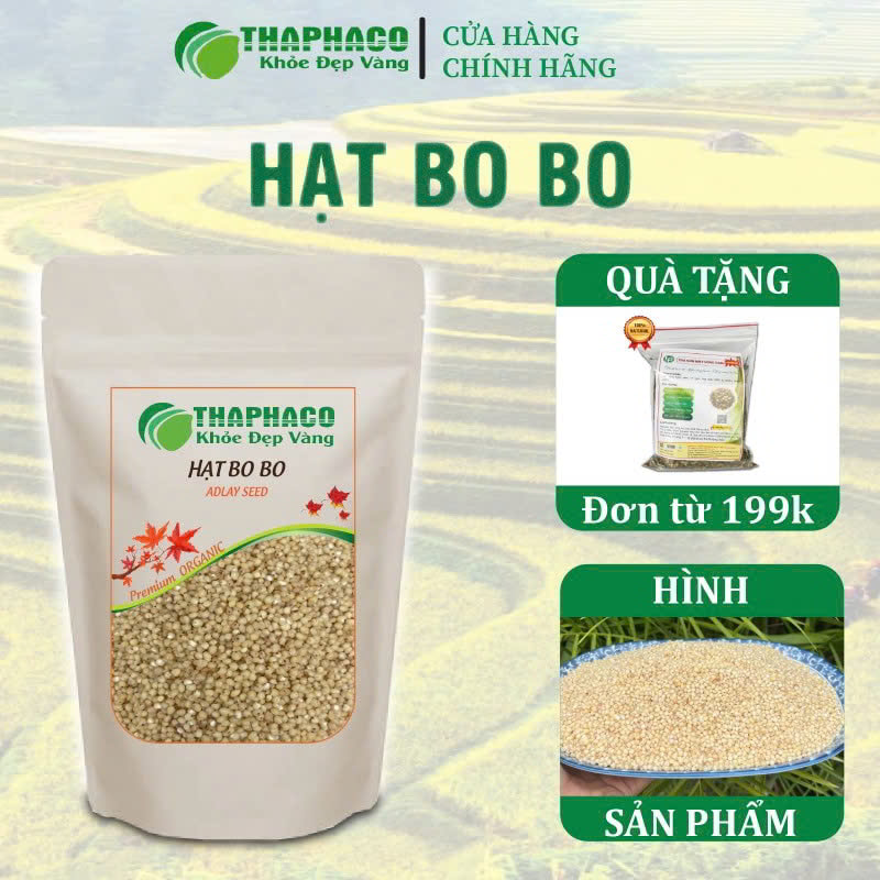 Hạt bo bo uy tín tại HCM