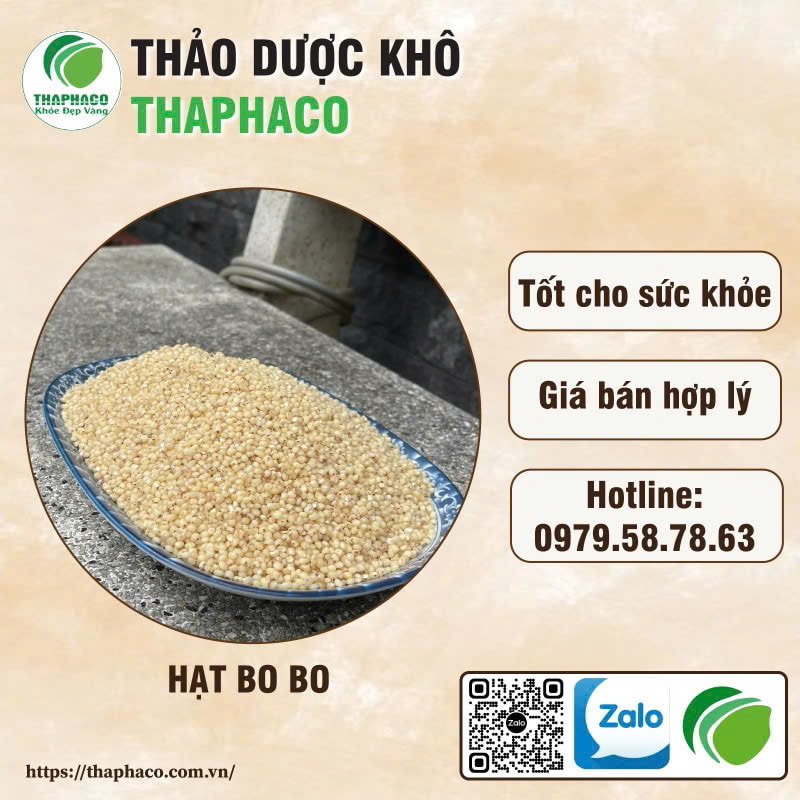 Sử dụng hạt bo bo như thế nào?