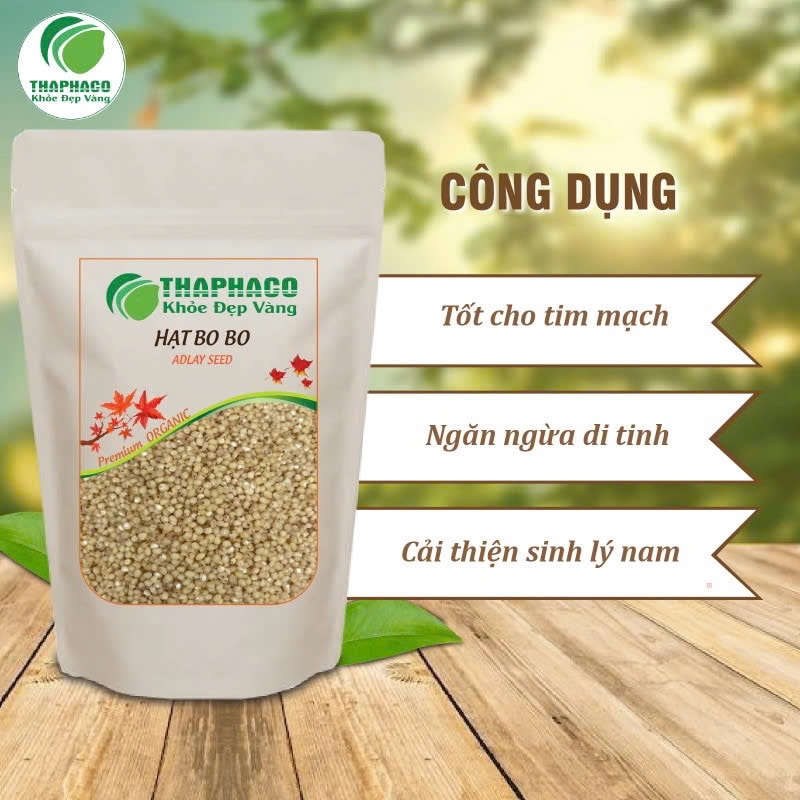 Công dụng của hạt bo bo 