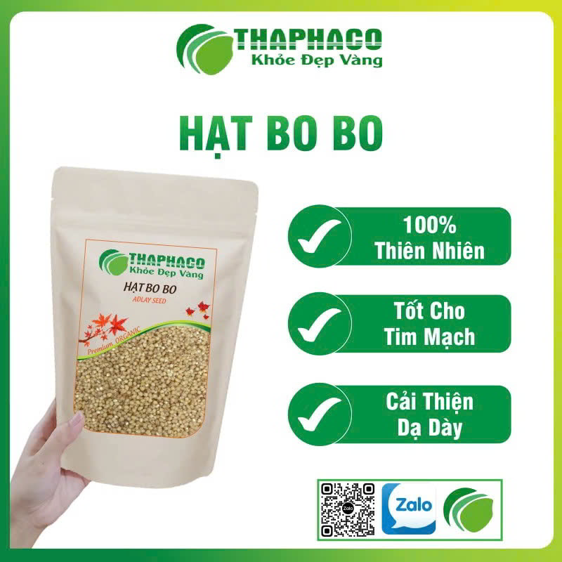 Hạt bo bo sấy khô