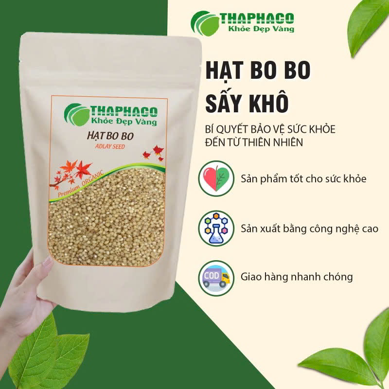 Công dụng của hạt bo bo đối với sức khỏe