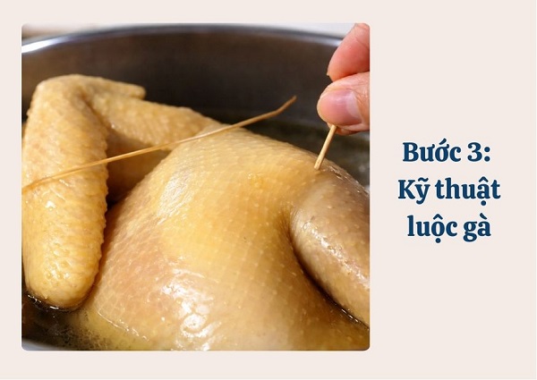 Kỹ thuật luộc gà đúng chuẩn