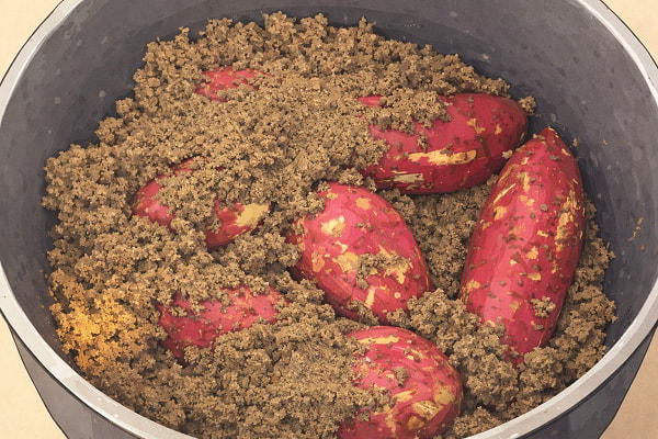 Luộc khoai bằng cắt