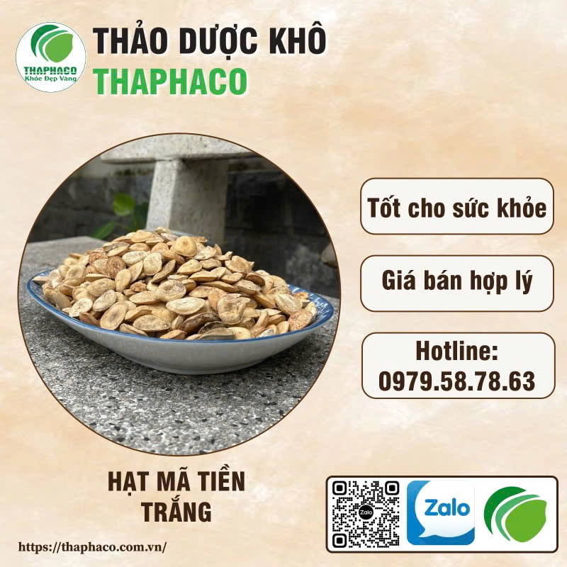 Hạt mã tiền trắng chất lượng