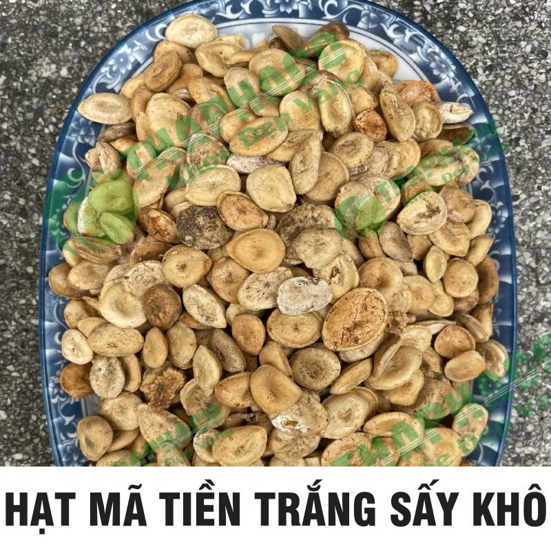 Hạt mã tiền trắng Thaphaco