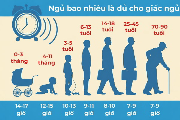 Ngủ bao nhiêu tiếng là đủ giấc