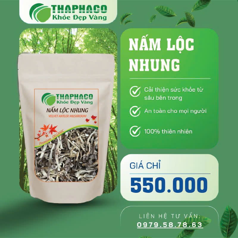 Nấm lộc nhung giá 500k