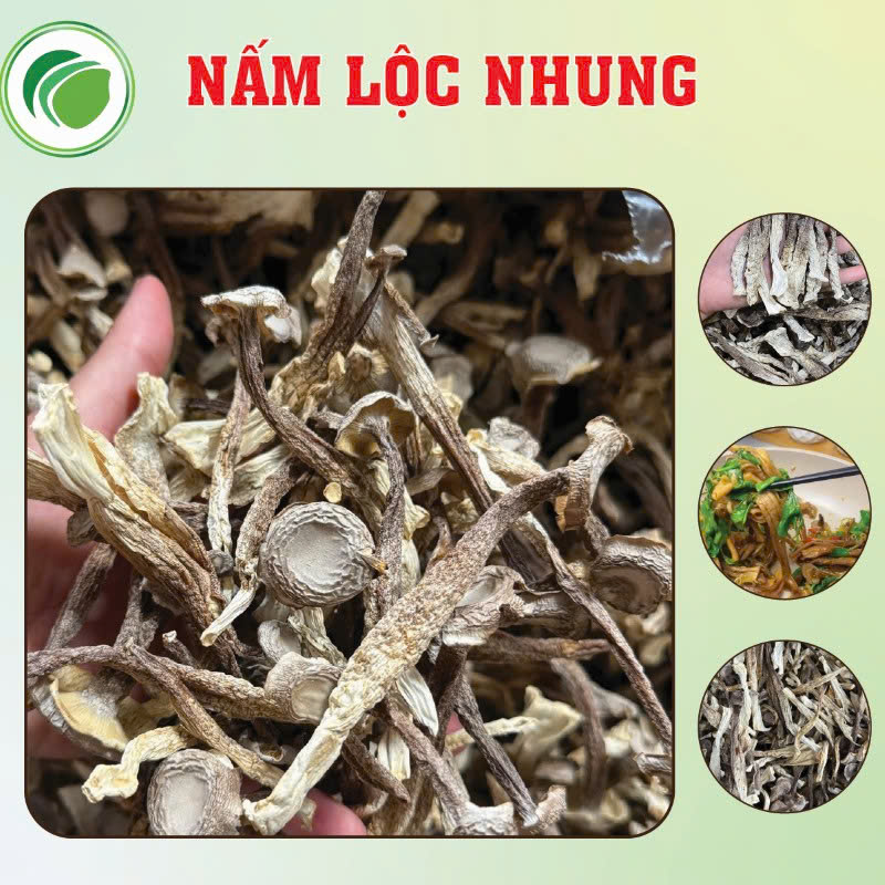 Nấm nhung hươu tốt cho sức khỏe