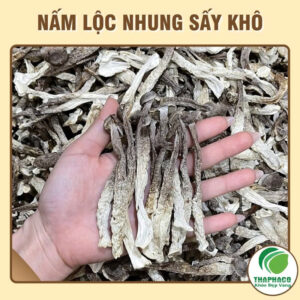 Nấm lộc nhung loại 1 tại TP.HCM