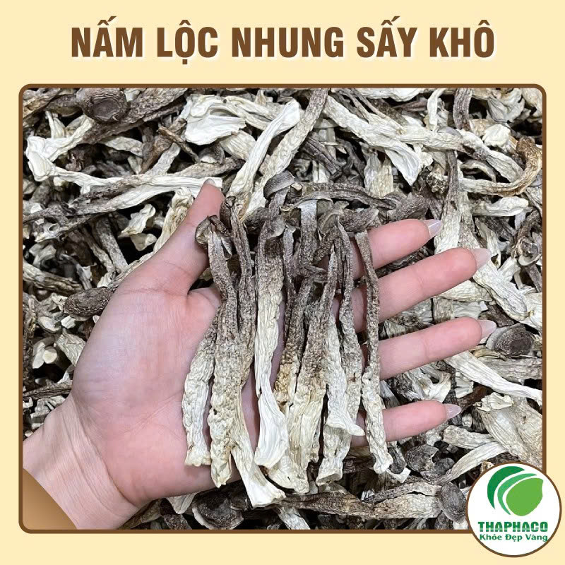 Nấm lộc nhung khô