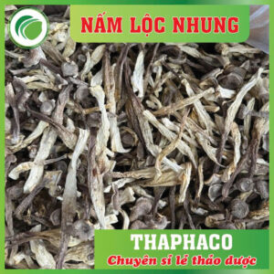 Nấm lộc nhung giúp bổ sung chất xơ, protein thực vật