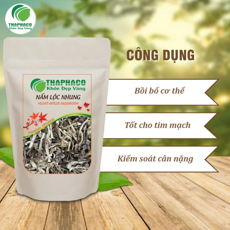 Công dụng của nấm lộc nhung chất lượng cao