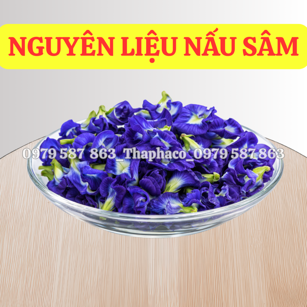 Hoa đậu biếc tươi trước khi sấy khô