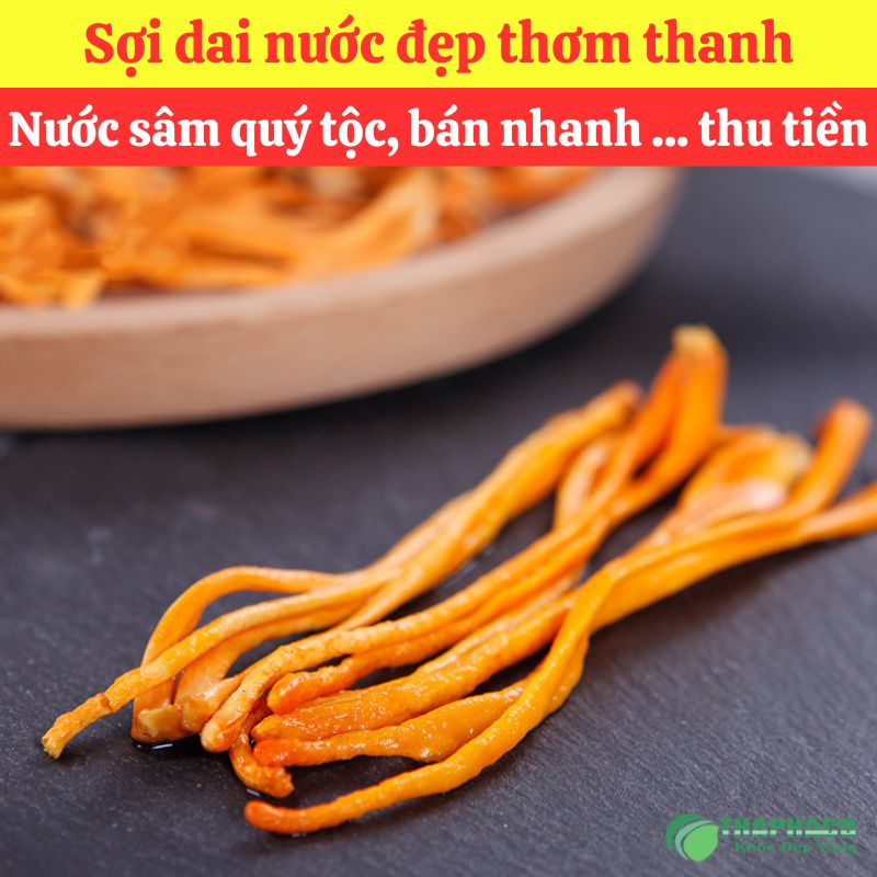 Đông trùng hạ thảo nấu nước sâm
